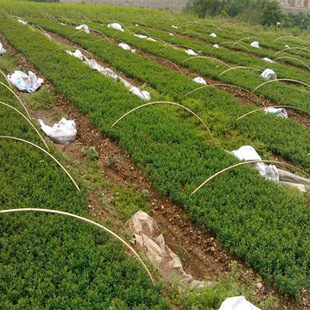 ����  ������ ������  ����������Ʒ�N ������r��