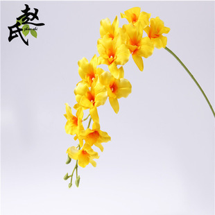 ֱ�N��֧���m���滨�҃ȿ͏d�b����m����ֲ�����컨�Ĕz�[��