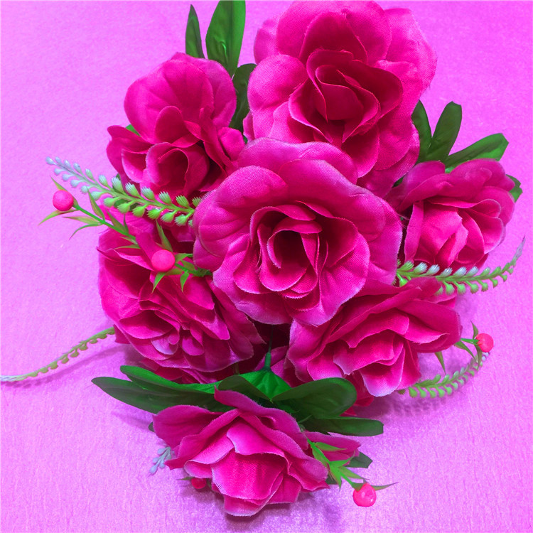 IMG_8453(20170816-153234)