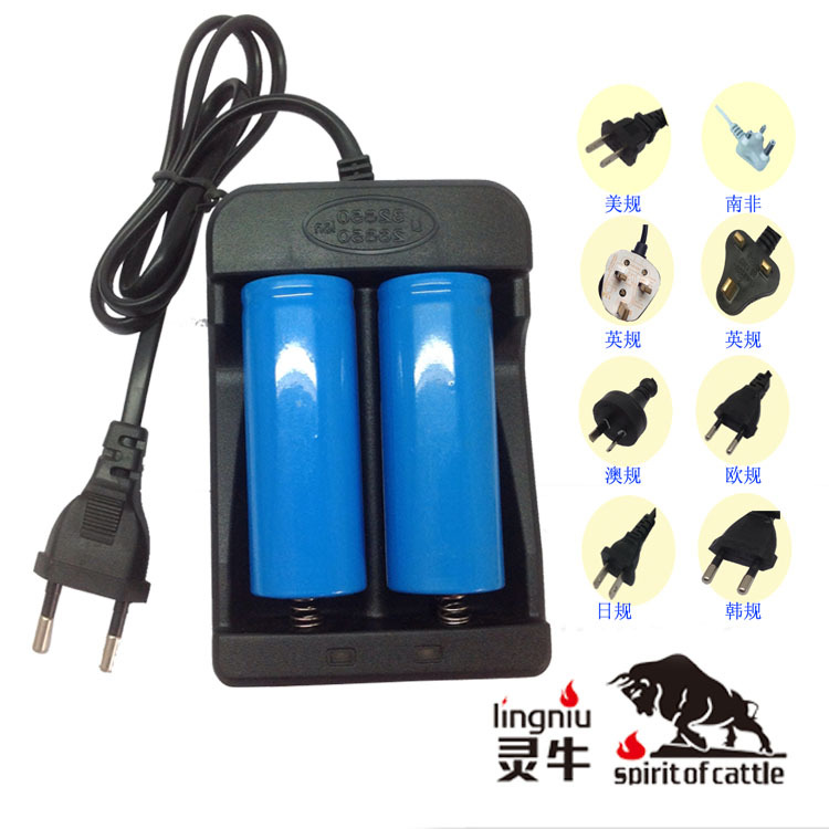 32650欧规双槽 CE认证 4.25V1A 26650 21700电池充电器  工厂直供