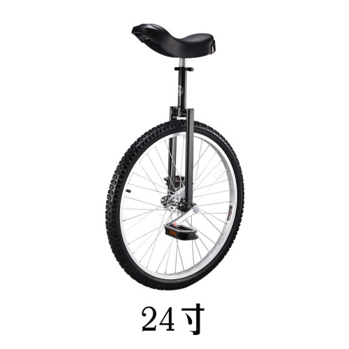 Direct Sales from Manufacturer: 24-inch Single-Wheeled Self-Balancing Bicycle for Commuting and Acrobatics