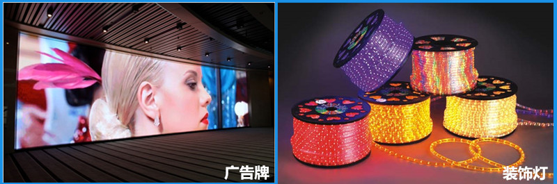 IMG_4487_����11_��_����