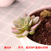 Simulation succulent plant wholesale small succulent prefecture fake green plant wall room interior and exterior decorative combinations of velvet implanted flesh