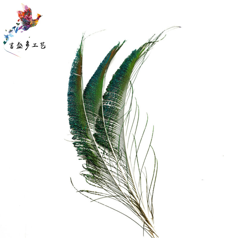 HTB1D.cDJVXXXXb9XpXXq6xXFXXX3