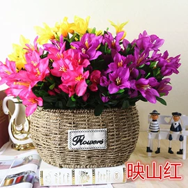 仿真绿植;仿真花;植物工艺品