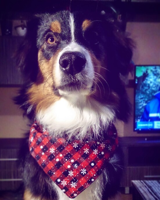 UTB81rfecT_IXKJkSalUq6yBzVXaK