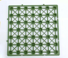 Դ�^�S�ҹ���:ֲ�ݸ�G������ˮ�壬����ˮ�壬��NҎ�����