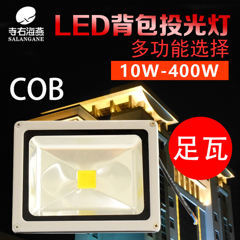 Clearance Manufactor Direct selling high-power led Cast light Floodlight 100w outdoors 20W advertisement Sign lights