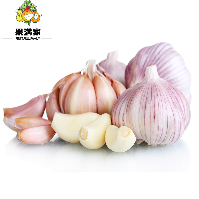 果满家2020年新鲜大蒜头应季新鲜白紫皮干大蒜源头货支持代发