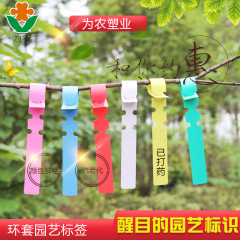 100張一字苗木標籤 環套標籤  pvc彩色標籤 園藝園林標籤