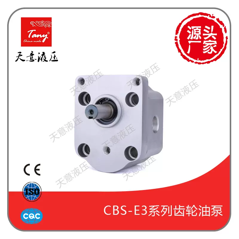 定制双向齿轮油泵CBS-D318 电液推杆中小型工程机械专用液压泵