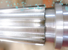 ���d�Cе�S�Ҷ����r�C������I�S�z�� �μ����I�S����������l