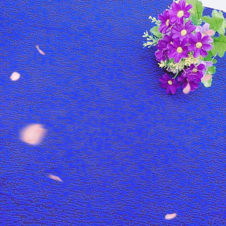 MYXJ_20171026155824_fast