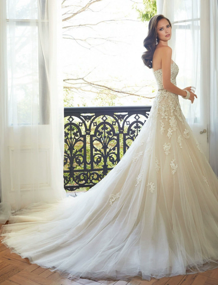 Bride's slim lace tail wedding dress