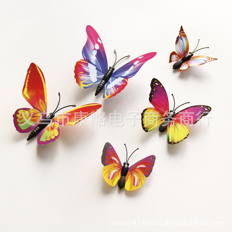 炫彩 单层 细节2