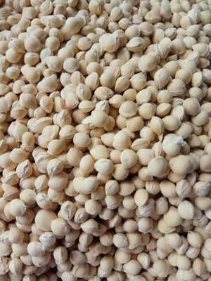 批发樱桃核 枕头填充樱桃核 樱桃子 樱桃核枕头 樱桃籽玩具填充物|ms