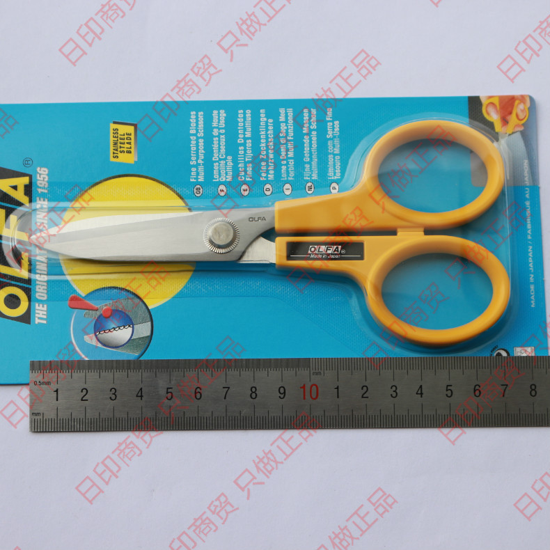 scs-2- (7)