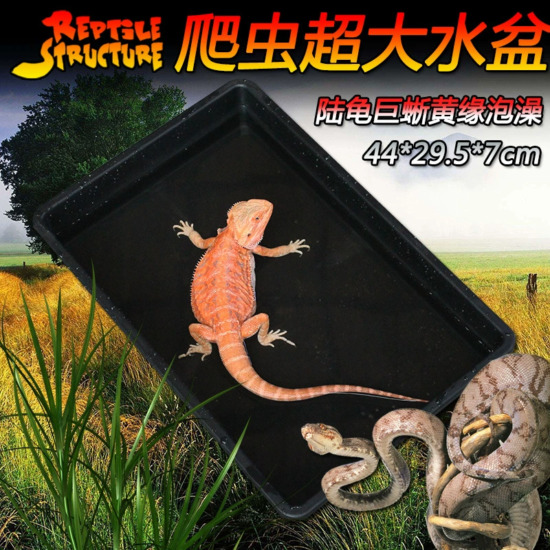 Гусеничная черепаховая ящерица PE супер большой поднос для еды таз для воды пищевой нетоксичный без запаха высокотемпературный устойчивый таз для ванны черепаха