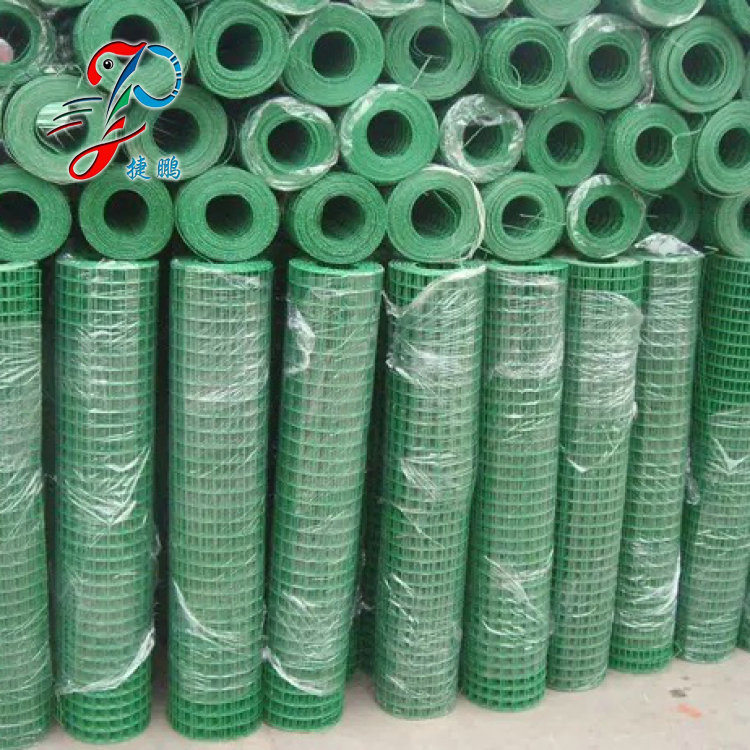 浸塑荷兰养殖网 多种规格养殖网 养殖荷兰网 绿色围栏铁丝网厂家