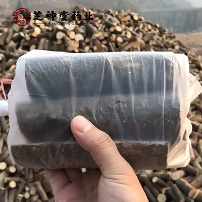 Jinzhai Ganoderma lucidum strain Dabie Mountains Basswood Mushroom Ganoderma lucidum strain provide Planting techniques support