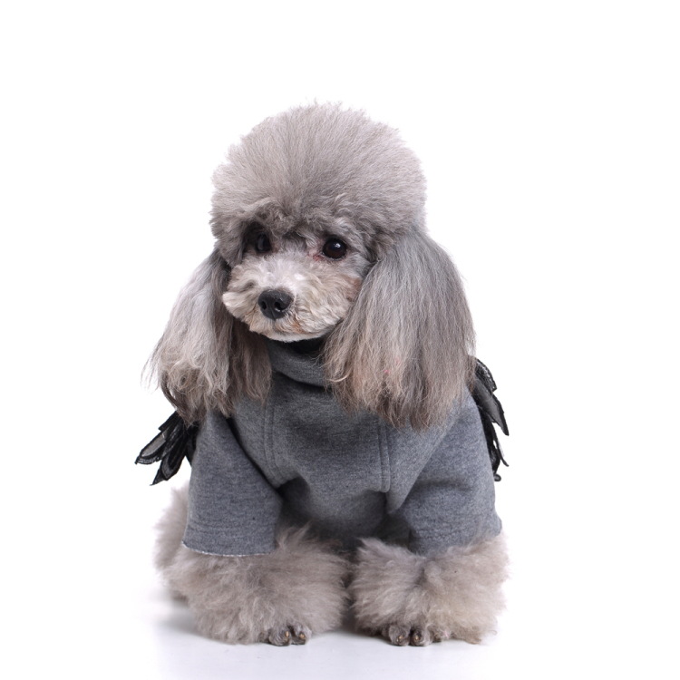 Vêtements Pour Chiens Ailes Vêtements D'automne Petits Vêtements Pour Chiens Ailes display picture 4