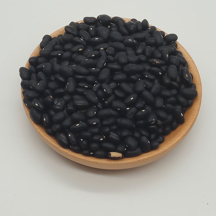 Low Temperature Roasted Black Soybeans Shu Hei Dou Wholesale Bulk Five Grain Ingredient quality and texture