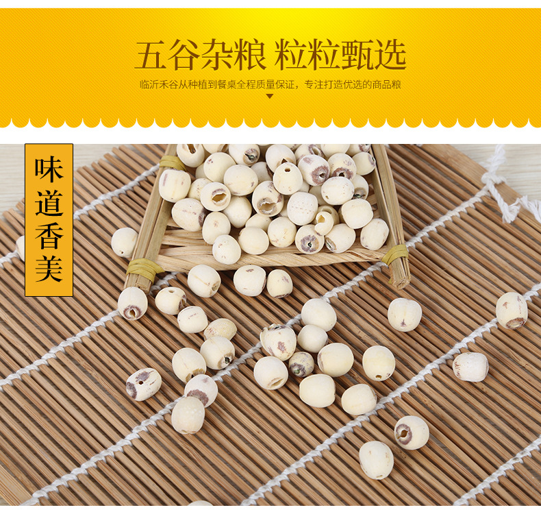 White Lotus Seeds Bai Lian Zi Coreless Low Temperature Dried Culinary Herb Bulk specifications
