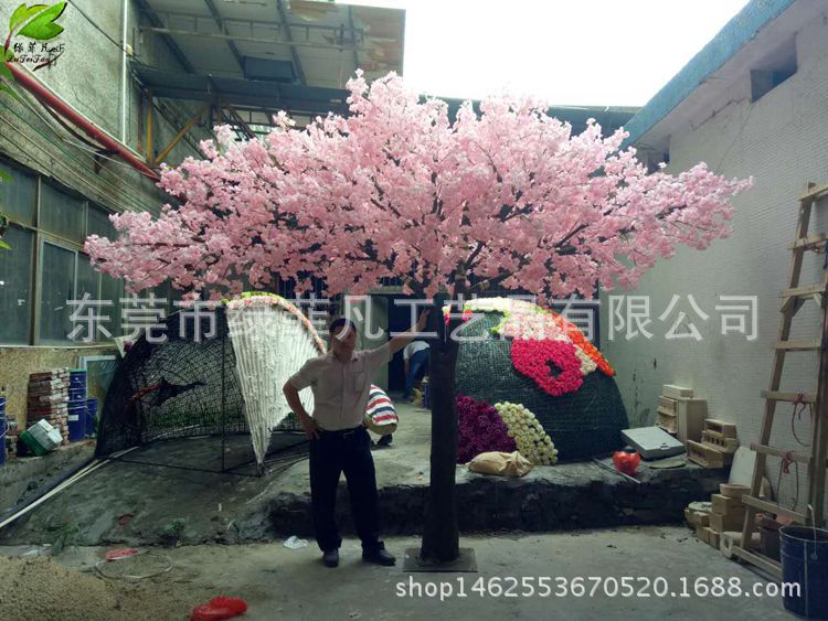 685144683772301081_副本