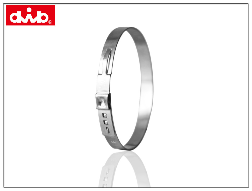 乐清东博dwb工厂生产油管胶管转向器单耳卡箍喉箍304/316不锈钢