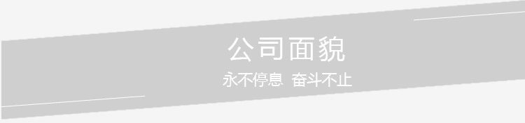公司介绍