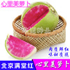 Beijing hybrid red fruit radish seed export type beautiful radish rouge carrot seeds