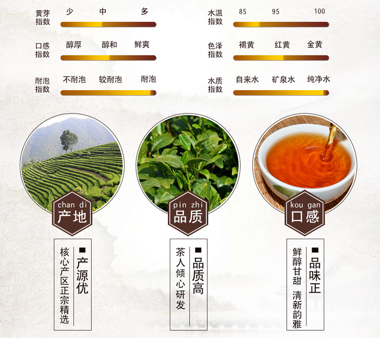 6050正山小种详情_05