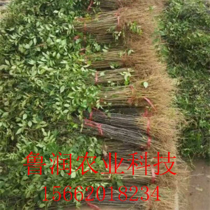 [微信图片_20170902194808]