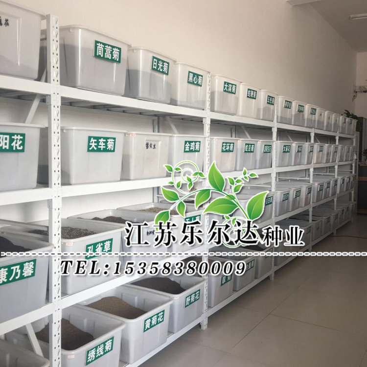 3636697487_246424275