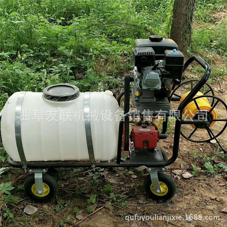 园林杀虫绿化喷药机 大棚杀虫专用打药机 苗圃树木杀虫喷雾机 61