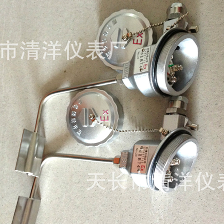 电厂化工厂加热管道配套伴热防爆铠装热电阻 WZPK-291 WZPK-246