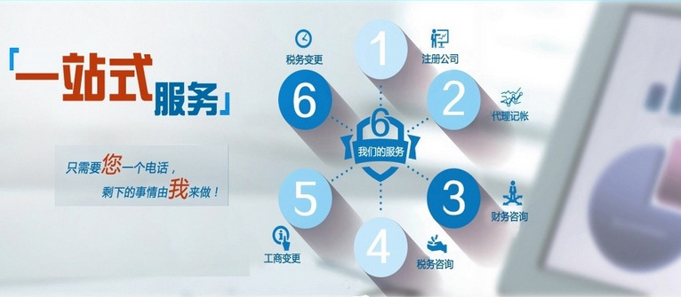 小规模纳税人报税选购指南