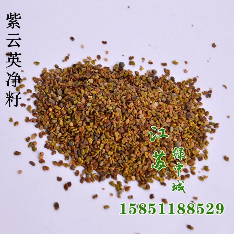 未命名_副本_副本4