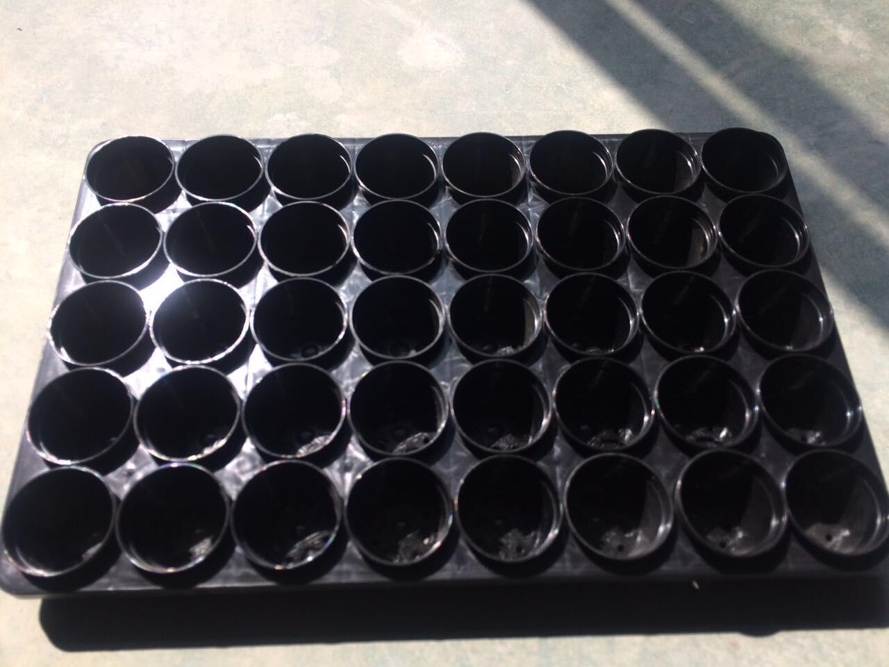 QQ图片20171011173236