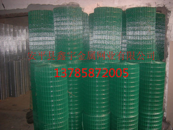 【厂家直销】供应涂塑电焊网|防锈电焊网（80丝-280丝）