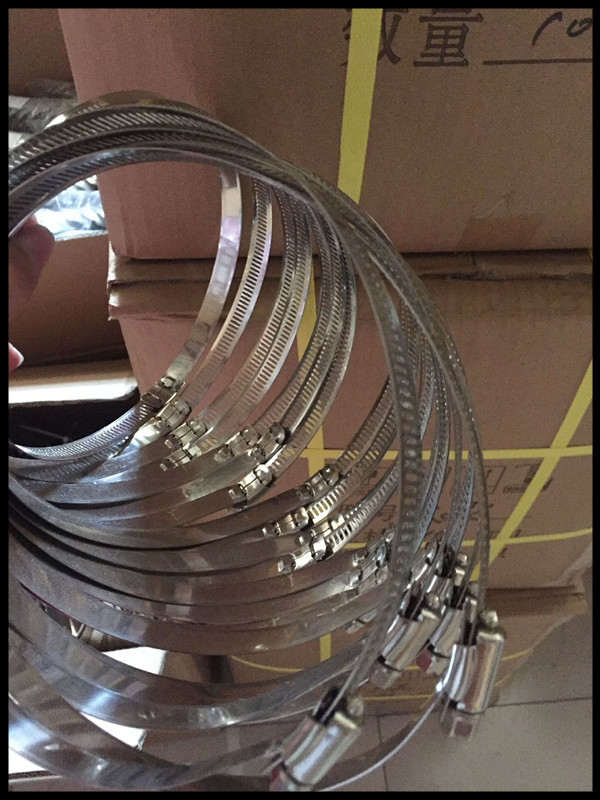 5374853896_227856353_副本