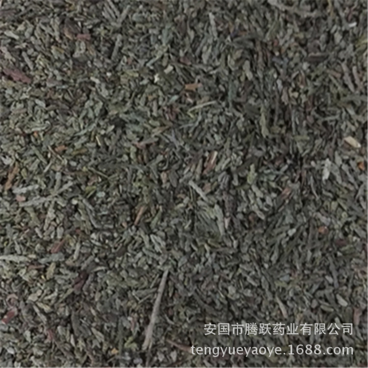 Dried Cebai Ye Chinese Arborvitae Leaf Bulk Herb Traditional TCM Decoction Ingredient overview