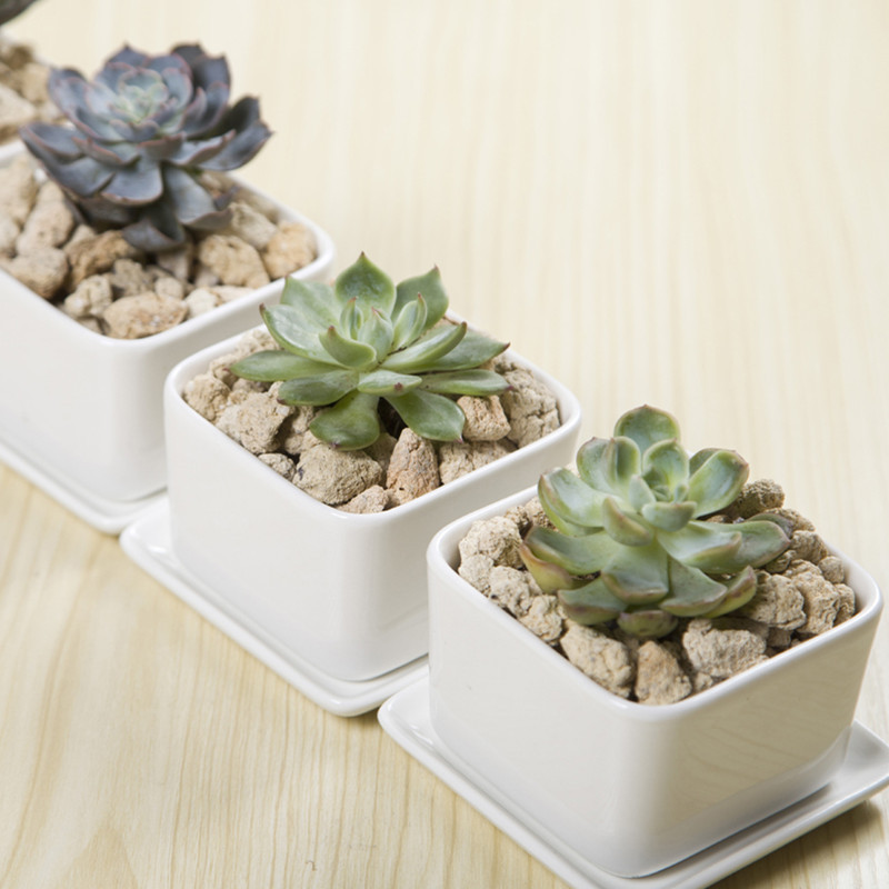Simple White Creative Succulent Flower Pot with Square Mouth, Ceramic Flower Bowl with Base Tray, Square Set with Tray Combination Flower Pot