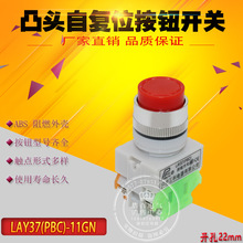 LAY37(PBC)-11GN ͹^ԏλ o_P LAY37-11GN Y090