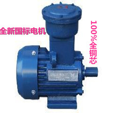 YBX3隔爆型三相异步电动机YB3-100L2-4-3KW 提供佳木斯防爆电机
