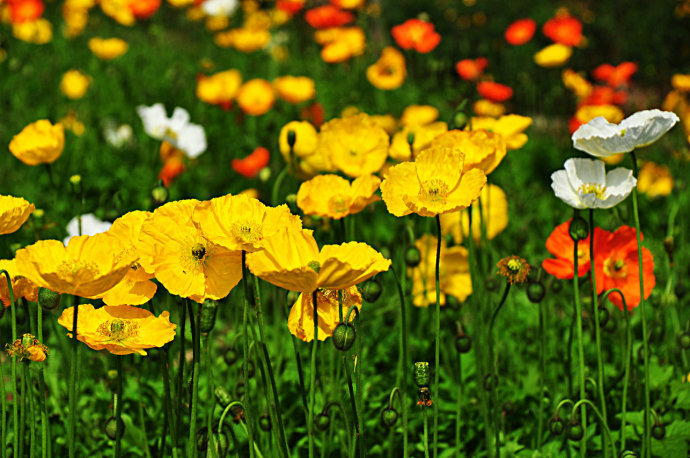 66019f9enb94e512dea70&690