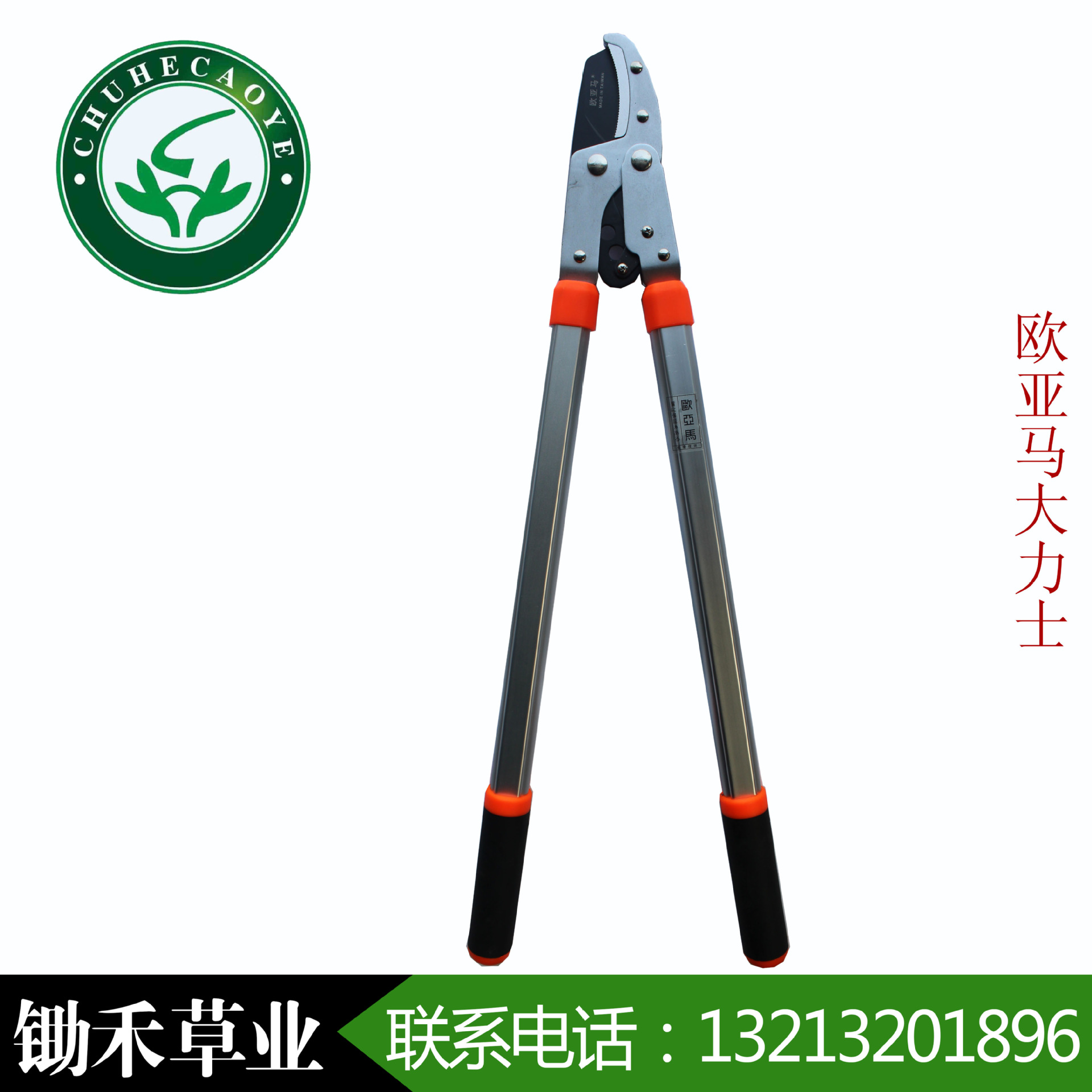 ŷ��������ʿ