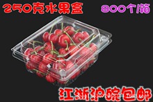 250g蓝莓盒水果盒车厘子草莓盒批发一次性塑料打包盒800套/箱