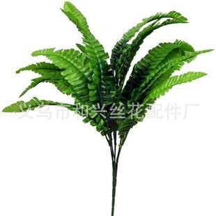 ��˹�ݲ�˹�~���滨����ާ�ֲ��廨�辰��c�bS��ֱ�N