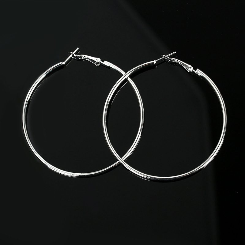 New Simple Geometric Circle Earrings Hypoallergenic Stainless Steel O-ring Hoop Earrings Wholesale display picture 3